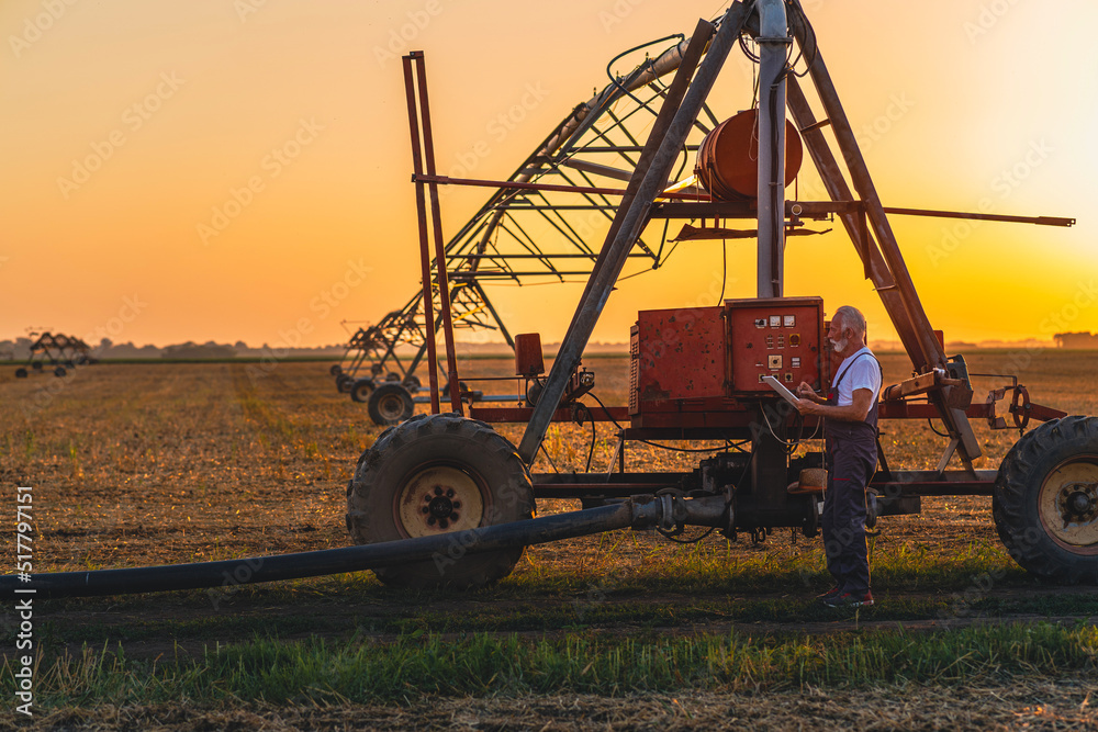 Fototapeta premium Older farmer holding tablet in his hands and adjusts irrigation system on field at sunset.