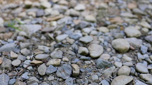River rocks, pebbles  wet close up in nature