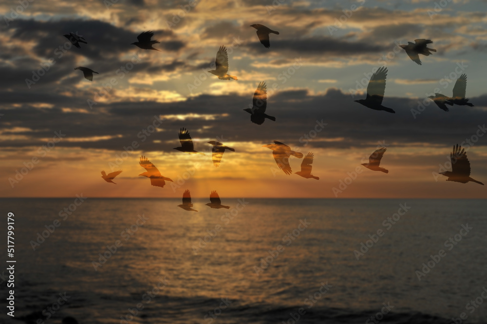 summer sea background and flying birds summer sea background and flying birds