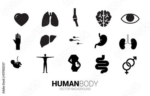 icon for human part and organic. Concept for hospital department and healthy.