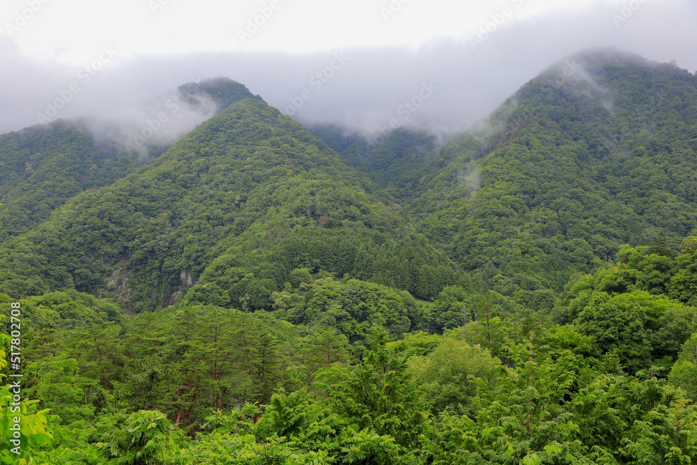 Obraz premium 山岳写真