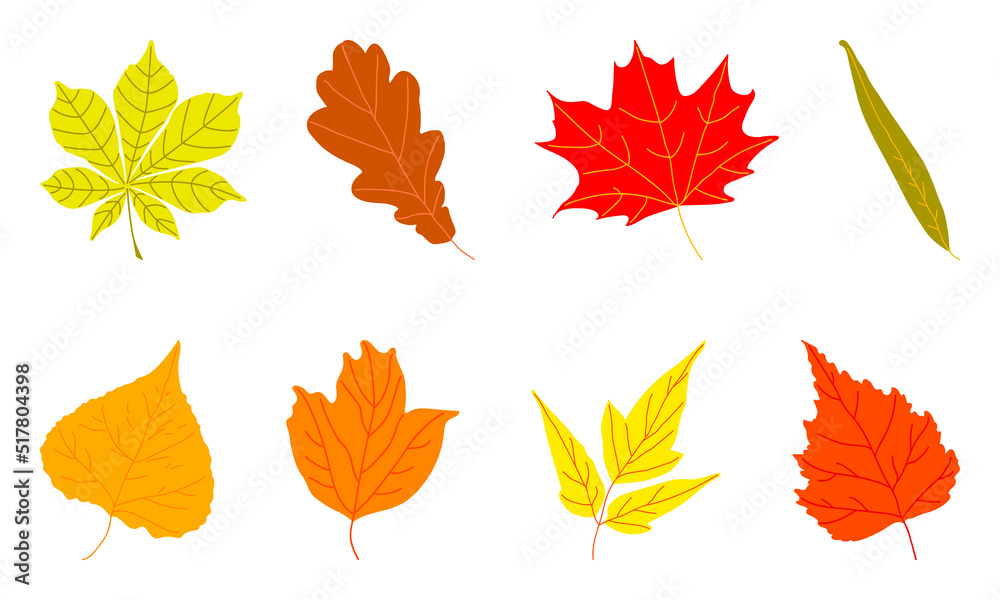 Set of bright autumn leaves Set of bright autumn leaves