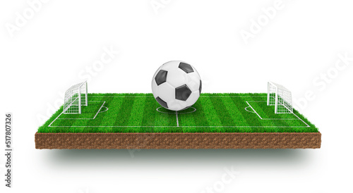 soccer field in the grass in 3d render