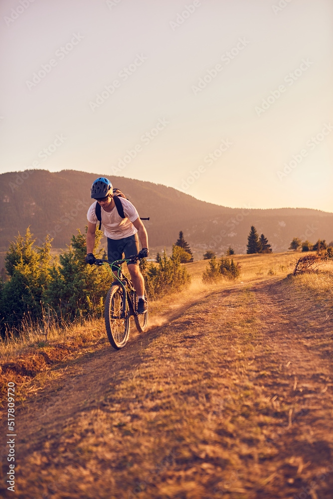 A cyclist rides a bike on forest roads at sunset