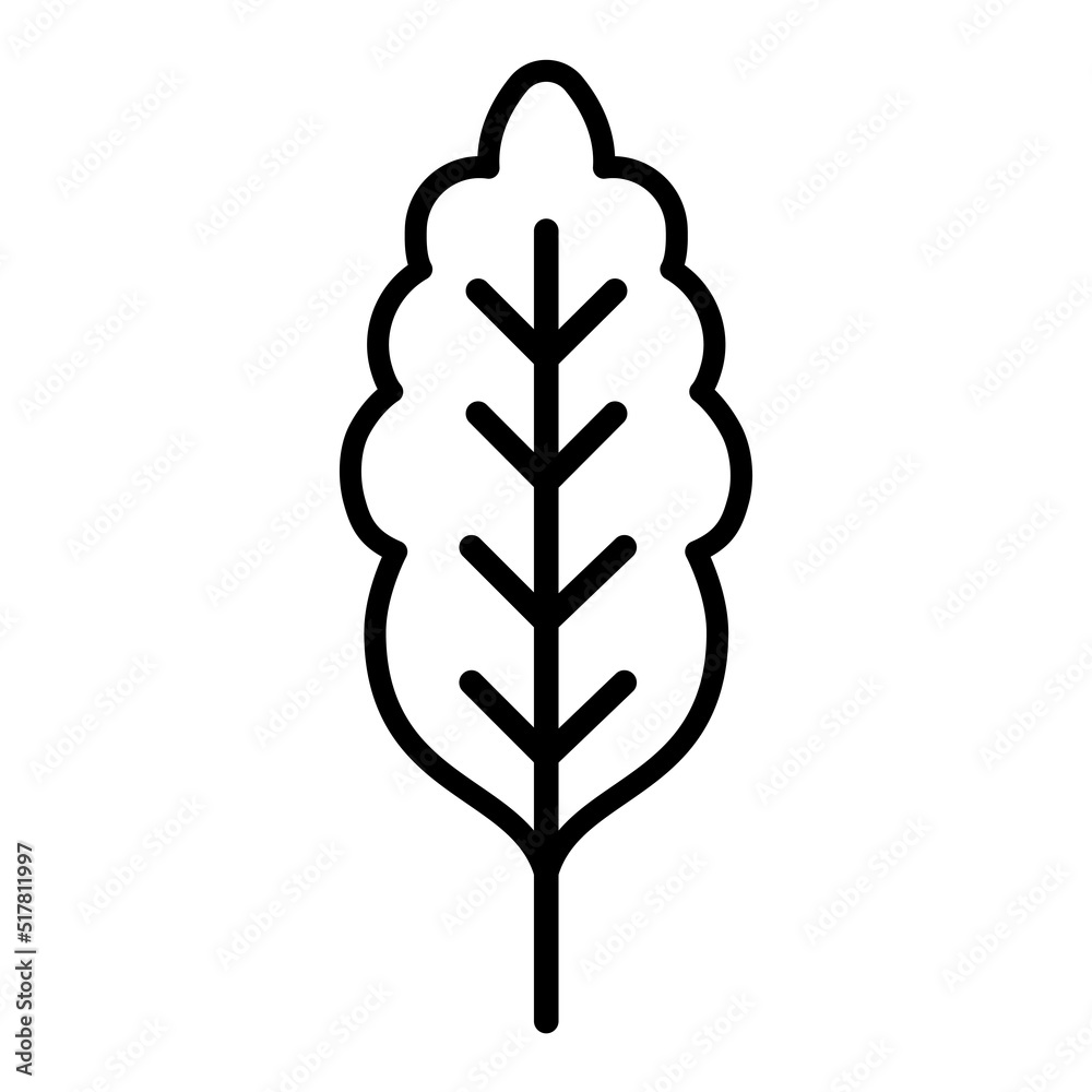 Kale vegetables vegan icon vector design template Kale vegetables vegan icon vector design template