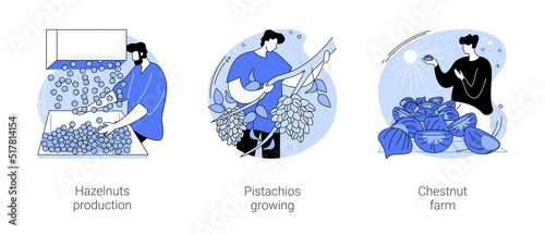 Tree nuts production isolated cartoon vector illustrations se