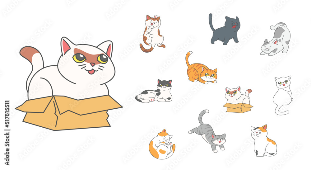 Obraz premium Set of cute funny cats activity such as hiding in the box, hissing, jumping, sleeping etc.