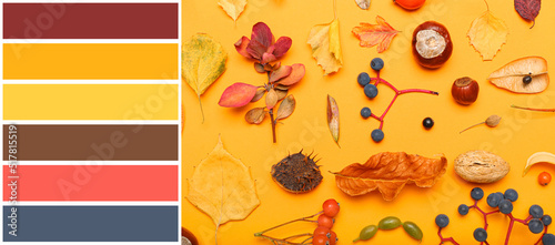 Beautiful autumn compositio...
