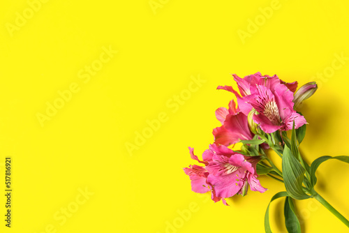 Branch of alstroemeria flowers on yellow background