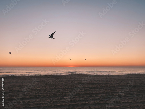 Atlantic Beach at Dusk