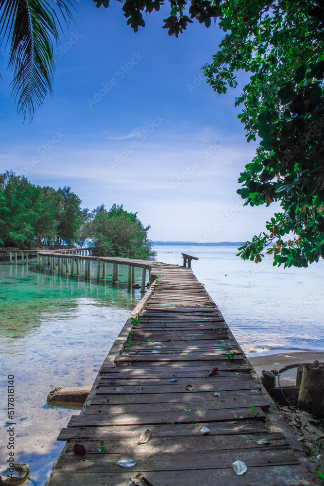 Fototapeta premium wooden bridge over the river