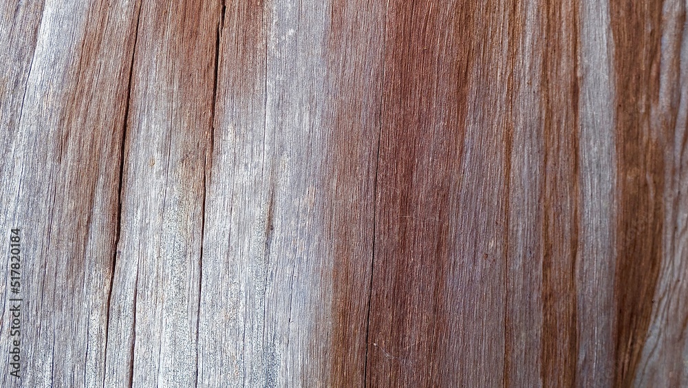 Obraz premium wood texture background