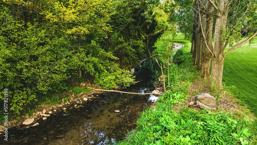 Stream down a summer rural area