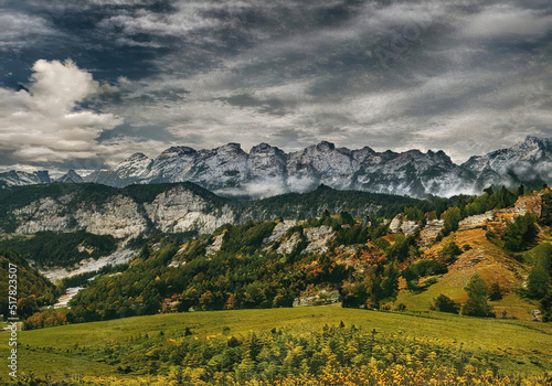 landscape in the summer