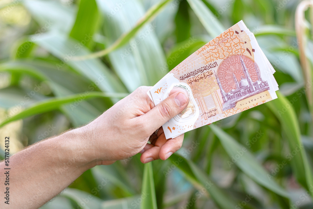 Egyptian Money, Man Paying, Paper Banknotes, Plastic New Ten Egyptian Pound, Farm Background, Growth Concept - obrazy, fototapety, plakaty 