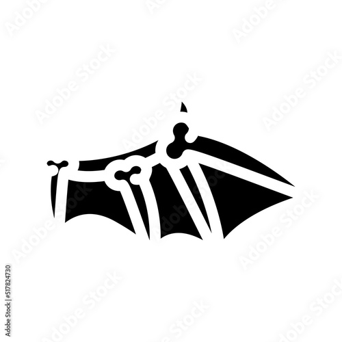 bones of wing glyph icon vector. bones of wing sign. isolated symbol illustration