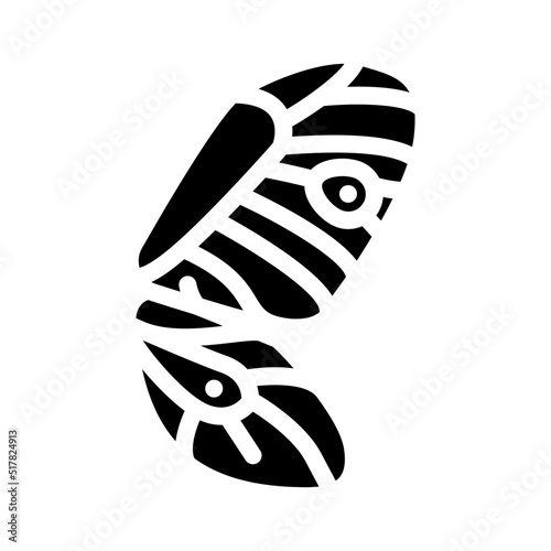 butterfly wing glyph icon vector. butterfly wing sign. isolated symbol illustration