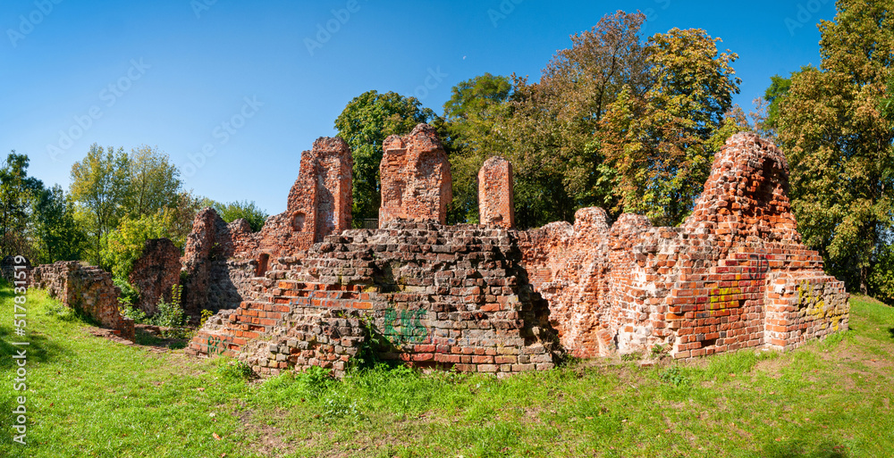 Ruins of castle in Raciążek