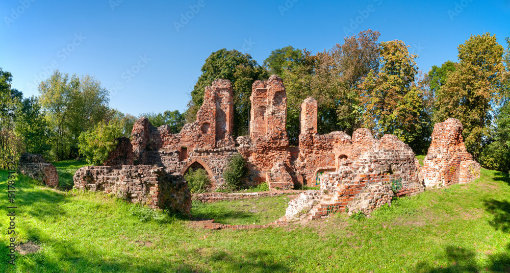 Ruins of castle in Raciążek