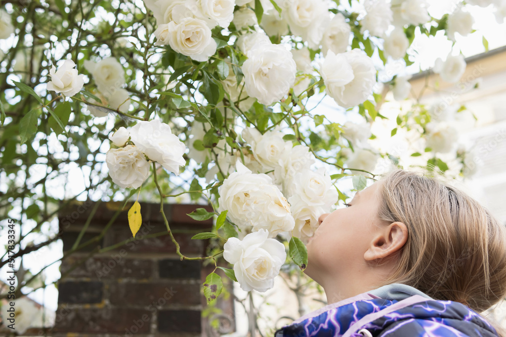 A teenager stands sniffing white flowers on a tree.Flowers in focus