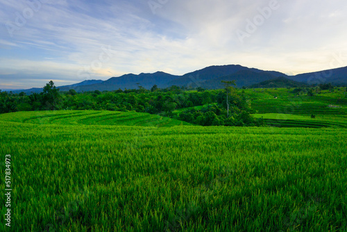 Indonesian natural scenery. Morning panorama in beautiful green rice terraces on the mountain © RahmadHimawan