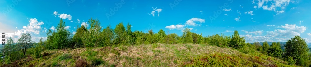 Panorama of the spring forest near the mountain town. Picturesque landscape of a sunny day. Panorama of the spring forest near the mountain town. Picturesque landscape of a sunny day.