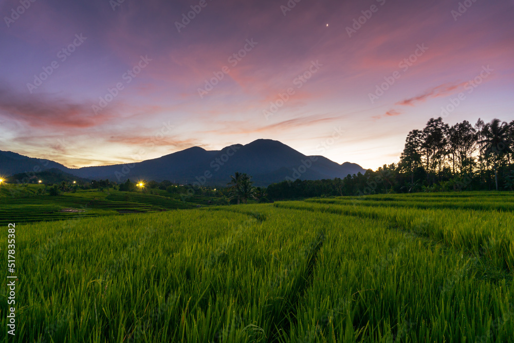panorama of the natural beauty of asia. rice field view with mountains and sunrise also stars