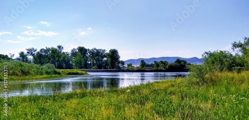 landscape with river and trees