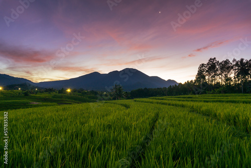 panorama of the natural beauty of asia. rice field view with mountains and sunrise also stars © RahmadHimawan