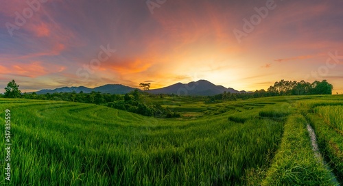 panorama of the natural beauty of asia. rice field view with mountains and peaceful village © RahmadHimawan