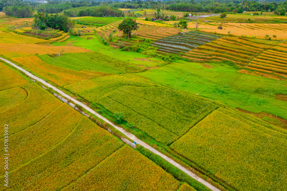 Indonesian natural panorama from aerial photography. beautiful rice fields with concrete rebate roads