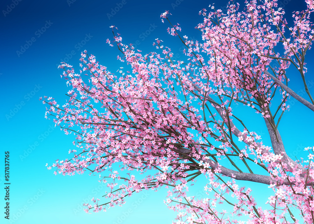 3D Sakura branches over blue 3D Sakura branches over blue