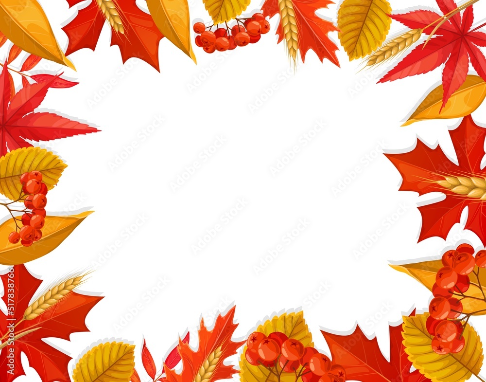 Autumnal frame with leaves, berries and wheat. Vector autumn border with colorful red and yellow foliage of oak, maple, rowan trees. Template for photo, back to school or thanksgiving holidays design