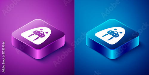 Isometric Walrus animal icon isolated on blue and purple background. Square button. Vector