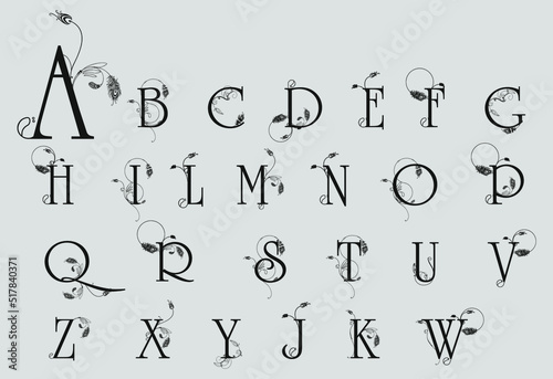 Luxury alphabet set. Elegant letters with floral arrangement, peacock feathers and curls. Font, text, writing.