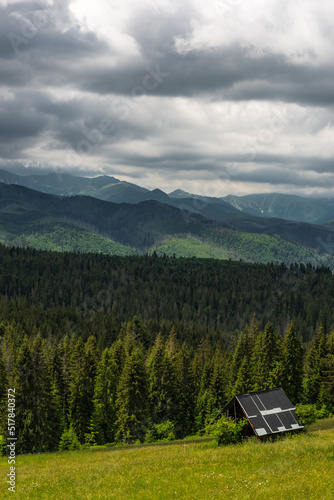 Lush forest and high Tatra Mountains range in Poland near Zakopane