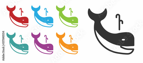 Black Whale icon isolated on white background. Set icons colorful. Vector