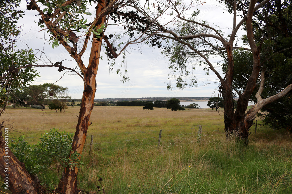 Landscape with Lake Connewarre in background, Geelong city, Australia : (pix SShukla)