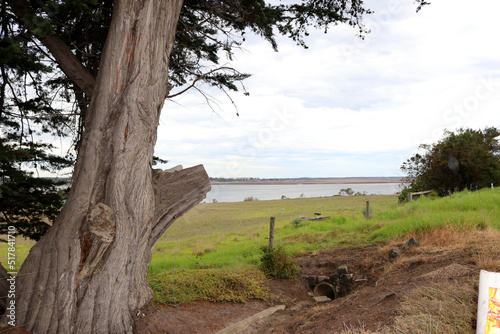Landscape with Lake Connewarre in background, Geelong city, Australia : (pix SShukla) © Sanjiv