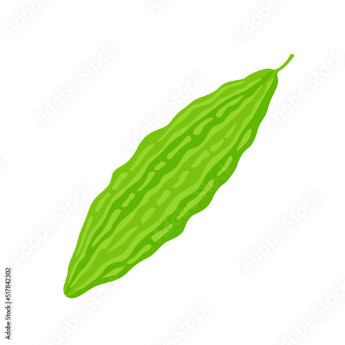 bitter gourd vector illustration in flat style 