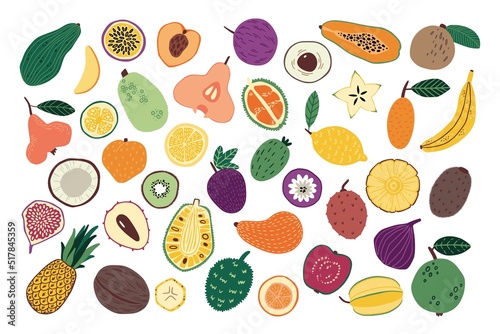 Hand drawn fruits. Sketch of doodle natural food. Tropical mango and banana. Fresh whole pineapple. Half of ripe pear. Juicy kiwi or carambola. Exotic ingredients set. Vector background