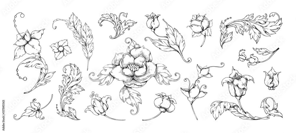 Flower Baroque ornaments. Vintage tattoo and frame elements. Botanical border pattern with rose and arabesque. Blooming blossoms. Victorian decorative leaves. Vector illustration set