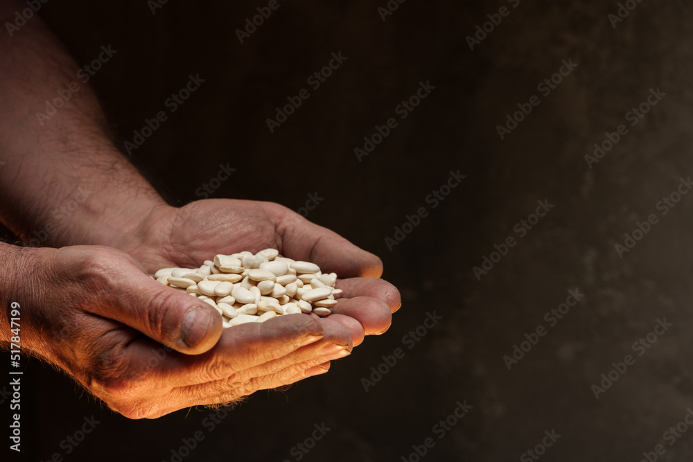 Male hands holding grains of dry kidney beans on dark background