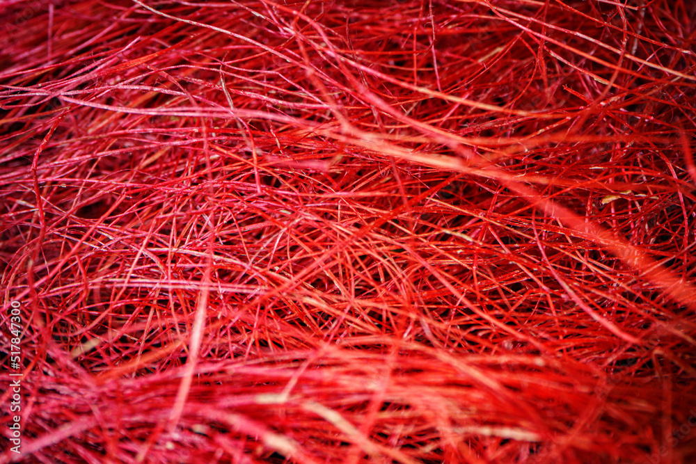Macro shot of tangled threads close up Macro shot of tangled threads close up