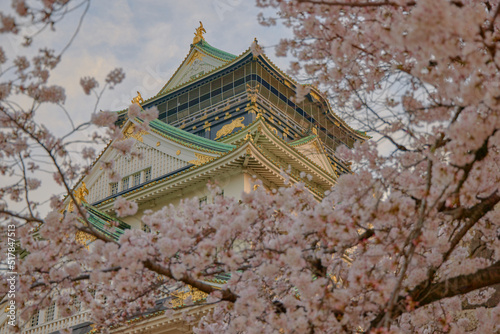 Osaka Castle and Cherry blossoms, 大阪城と桜（城ピン）
