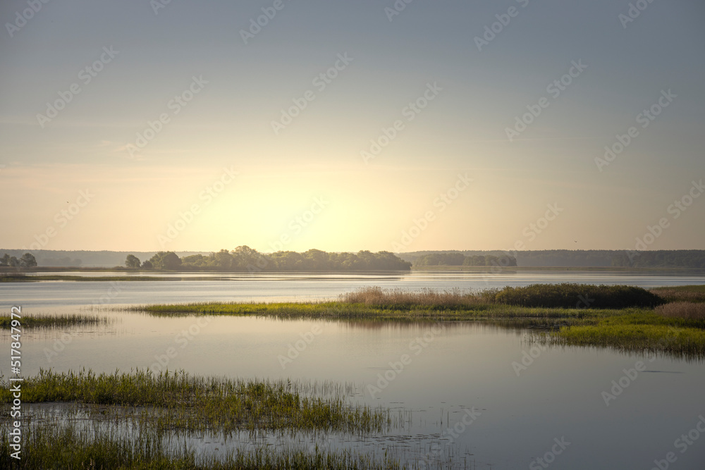 Scenic landscape with foggy river and forest on the horizon. Mystical morning landscape on the pond. Dawn over the lake.