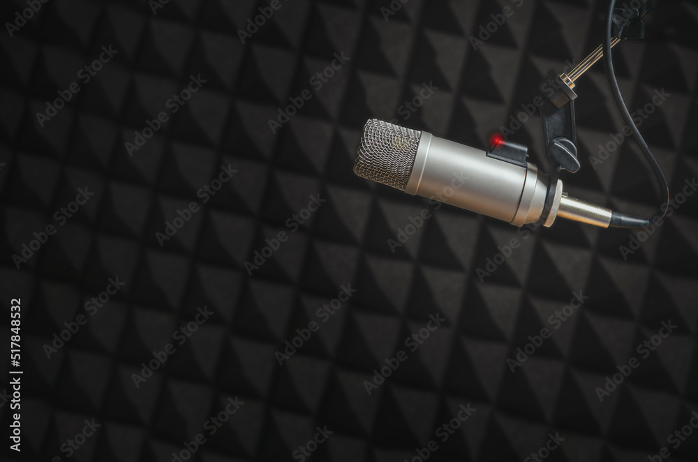 Background with a professional microphone and copy space Background with a professional microphone and copy space