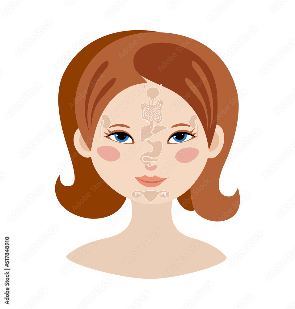 Markers of reflexology zones. Projection of the internal organs on the face of a woman. Isolated on white background