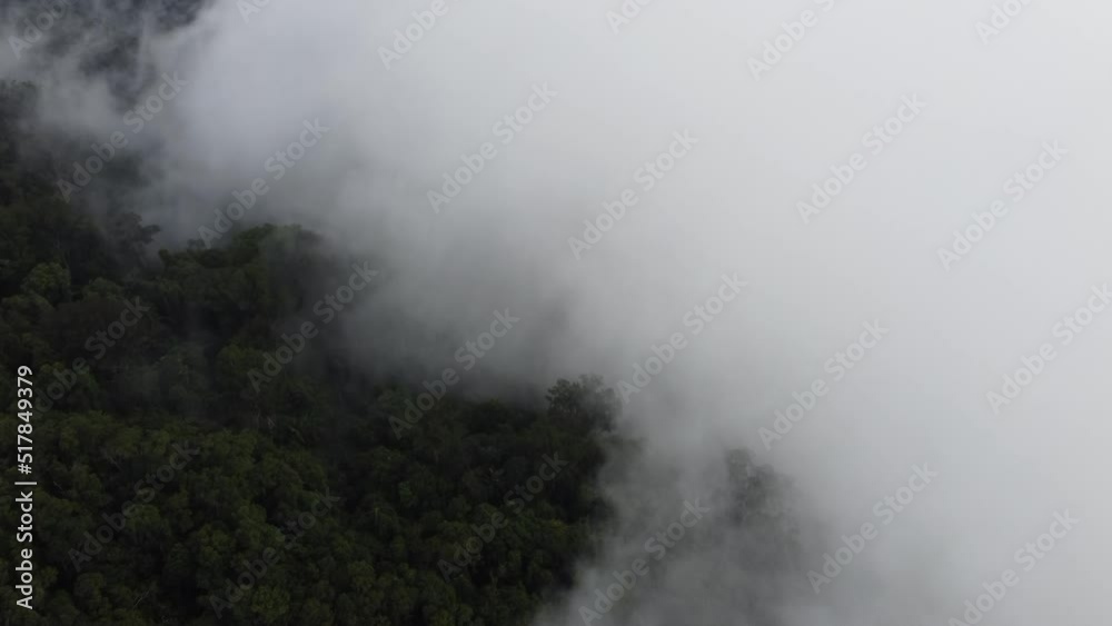 Aerial view low foggy cloud cover the rainforest Malaysia Aerial view low foggy cloud cover the rainforest Malaysia