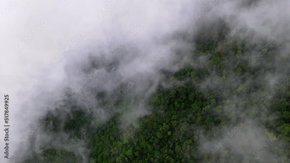 Aerial sliding view white thick cloud cover green rainforest Aerial sliding view white thick cloud cover green rainforest